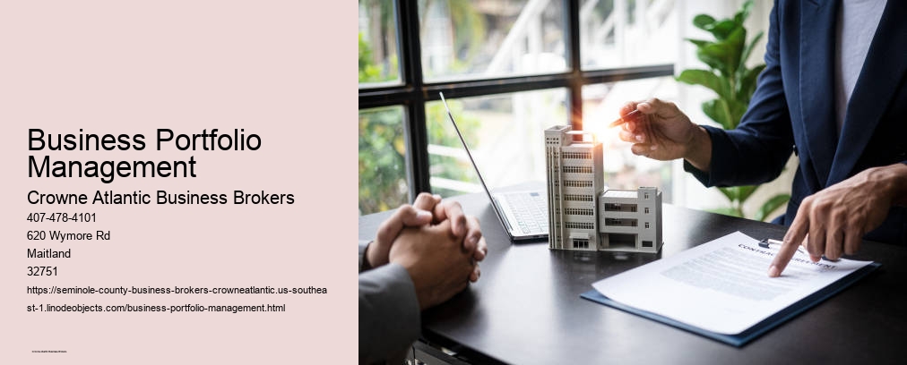 Business Portfolio Management