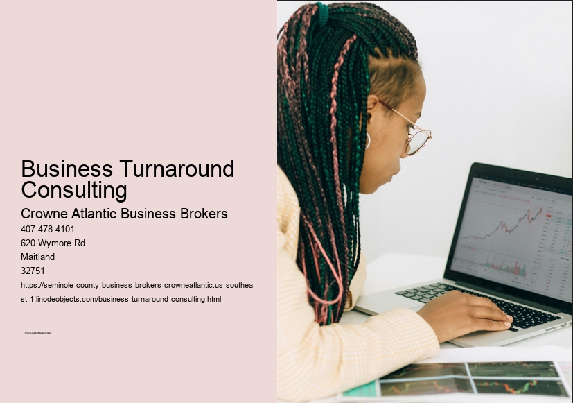 Business Turnaround Consulting