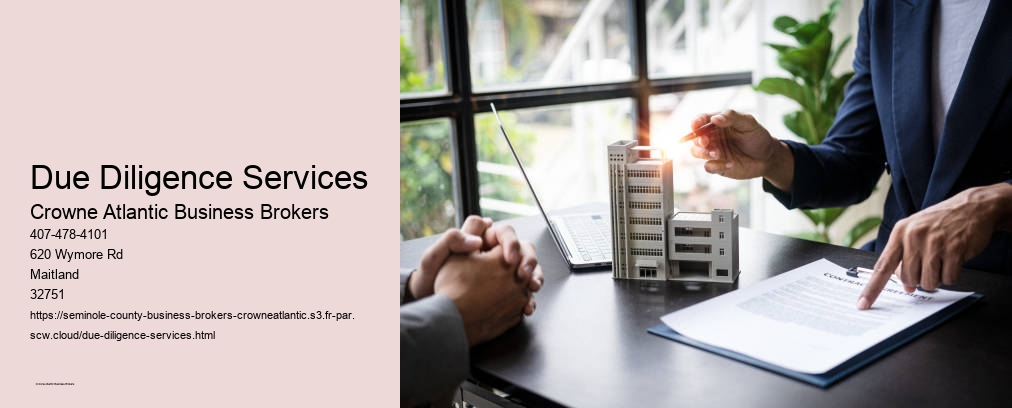 Due Diligence Services