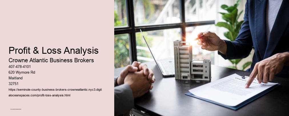 Profit & Loss Analysis